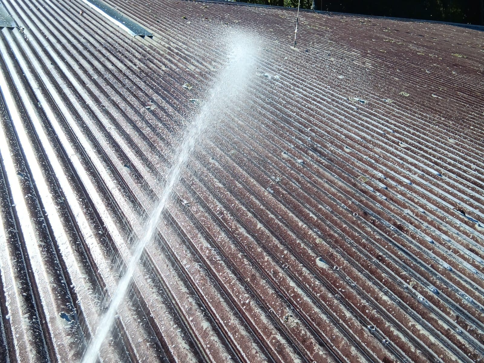 Residential Roof Cleaning and Treatment